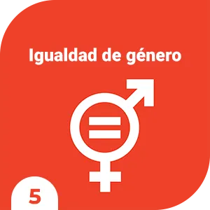5-igualdad-de-genero
